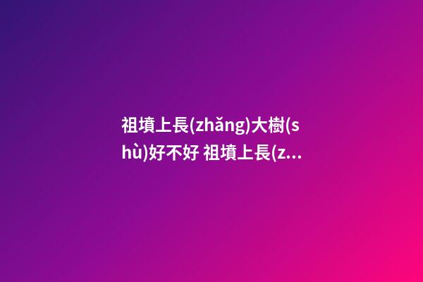 祖墳上長(zhǎng)大樹(shù)好不好 祖墳上長(zhǎng)大樹(shù)要連根拔起